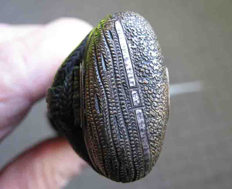 post-790-14196761733641_thumb.jpg