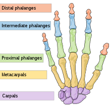 post-110-14196789101932_thumb.png