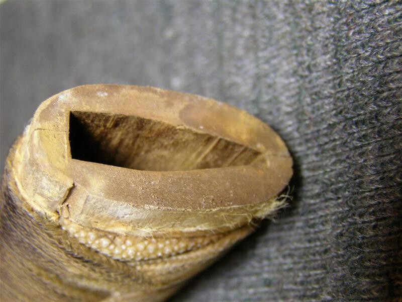 post-1162-14196789875294_thumb.jpg