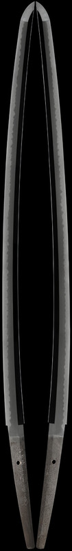 583A6B99-E2D2-40E5-9561-543DF59B401F.jpeg