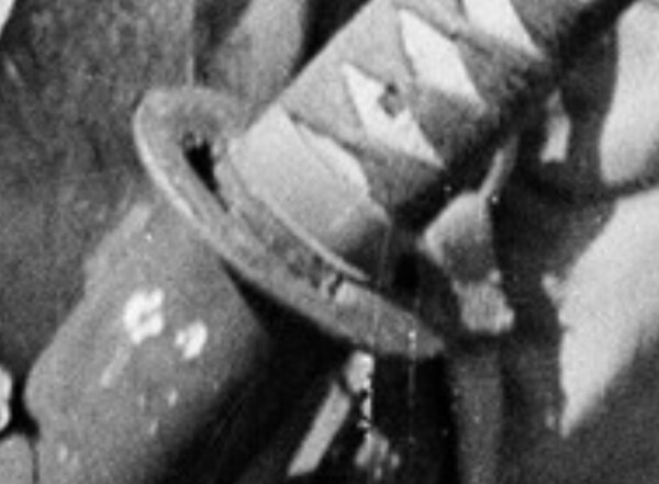 511876278_Screenshot2022-01-29073215.thumb.jpg.ec5169e028961306c3581668758f9253.jpg