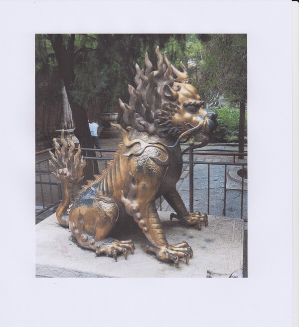 Scan 285.jpeg