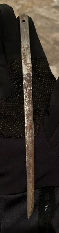 image1(5).jpeg