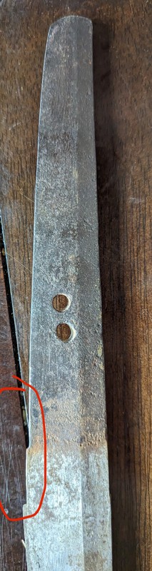 6C49F99D-D24C-4469-B9DF-C07B754AAE27.thumb.jpeg.2a03fa02d621c2fa2b0d7dd83b3ebb26.jpeg